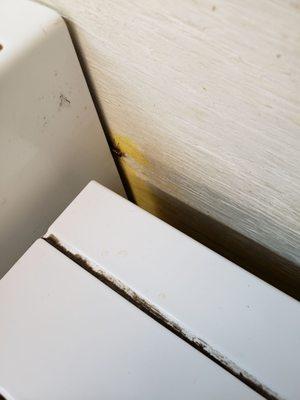 Cockroach behind machine.