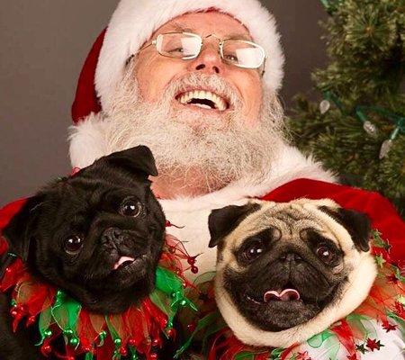 Our pharmacy for 20 years, the Pharmacist, along with staff really care about their customers