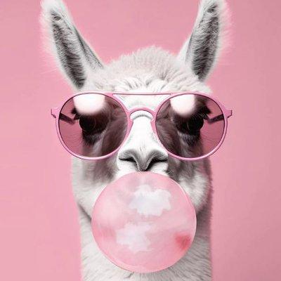 The Pink Llama Mobile Bar