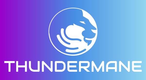 Thundermane Technology and Design Consultants