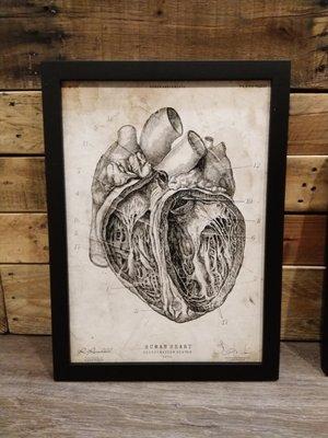 Expect a different experience, from the art to the music this is different Chiropractic experience.