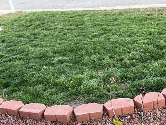 Modern Landscaping