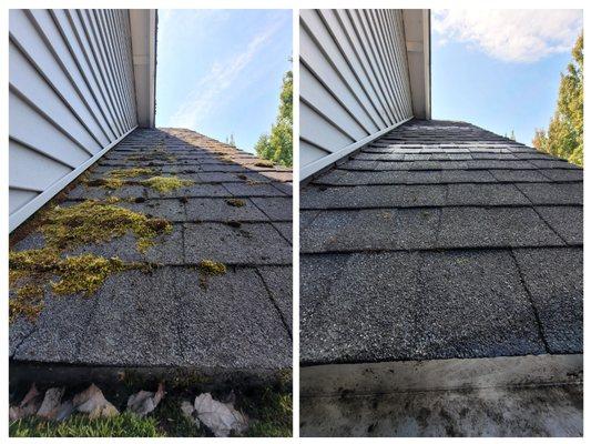 Altitude Windows & Gutters