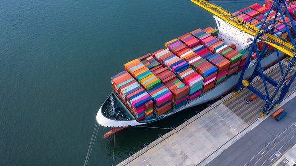 Fast Customs Clearance