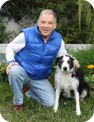 Behavioral consultations and expert witness services provided to attorneys throughout the USA