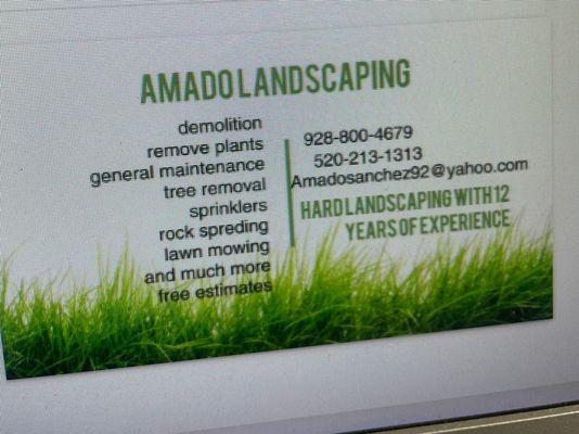Amado landscaping