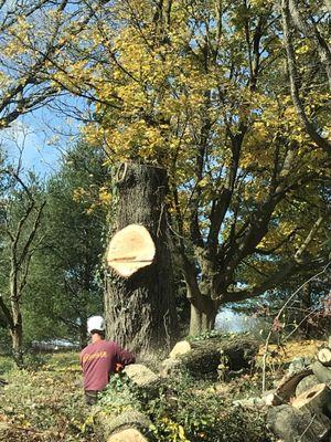 Ressler Tree Service