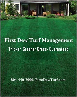 First Dew Turf Management