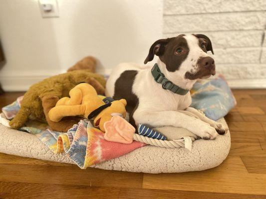 Russ Strazzella - Keller Williams