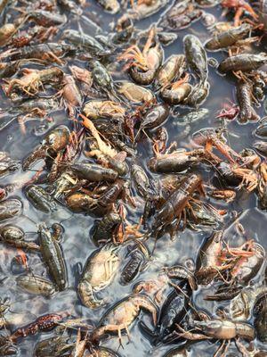 From beginning to end...the best in the area!