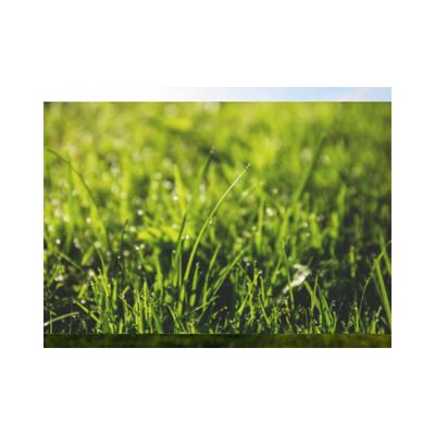 experts from the ground up