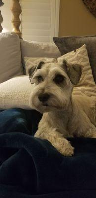 Thank you for the Spa Day Mrs. Stephanie!