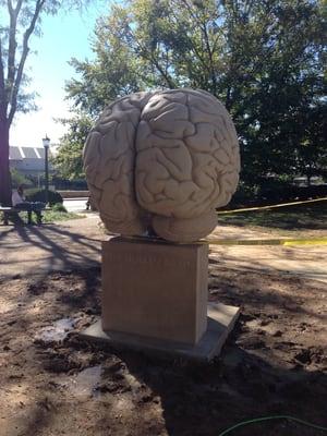 Indiana University - Department of Psychology