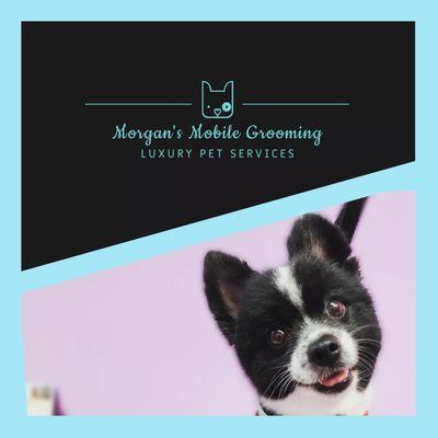 Morgans Mobile Grooming