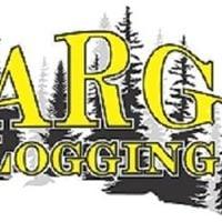 ARG Logging