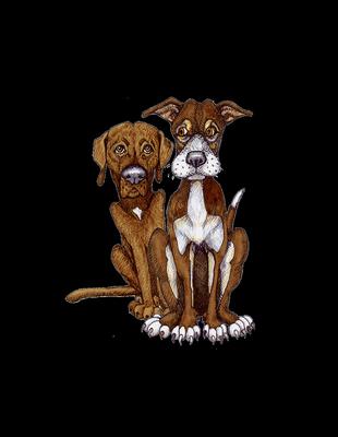 4 Corners Errands & Pet Care