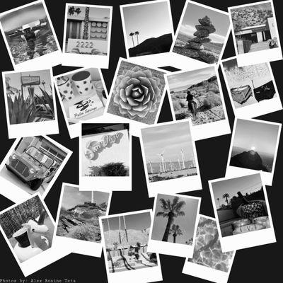 Mister Atom Private Home Concierge Service