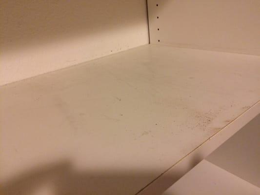 One of the many still-dirty shelves in the utility room after our "move-out" clean.