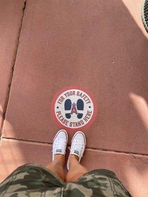 Anaheim Angels Spring Training