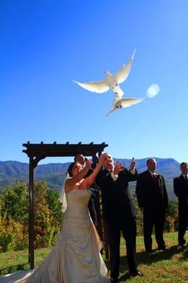 Imagine This Photography