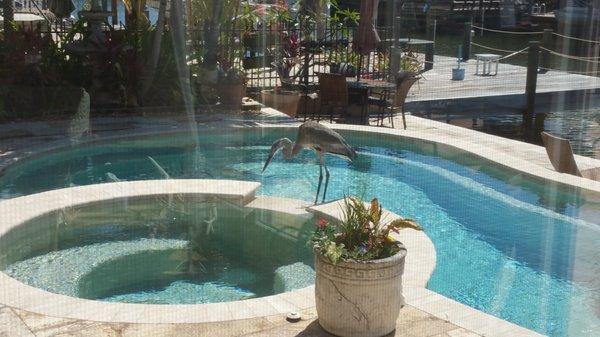 Island Tropical Vacations