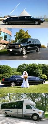 Andrus Limousine