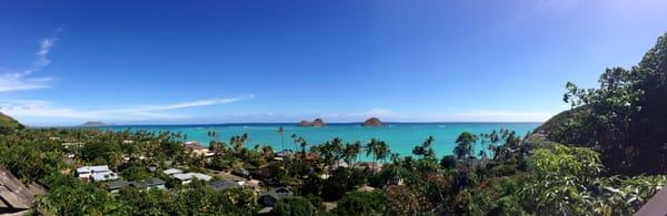 Shelby Lovecchio - Coldwell Banker Pacific Properties