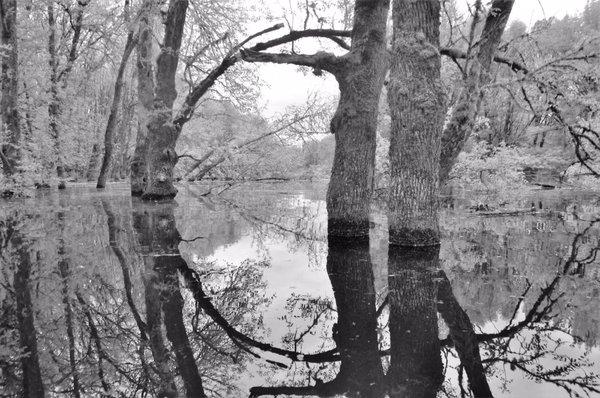 Scappoose Boat Moorage