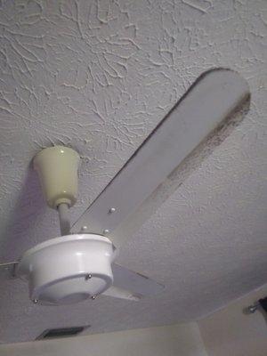 St Lucie Cleaning Services