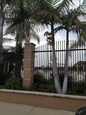 Newport Shores Community Association Pool