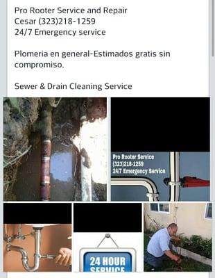 Pro Rooter Services