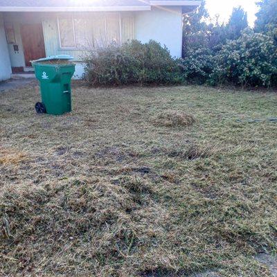 Rogelio Garden Cleaning Complete