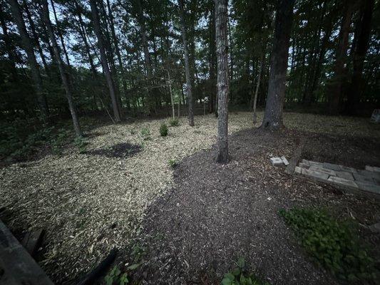 Chromium Tree Service and Landscape