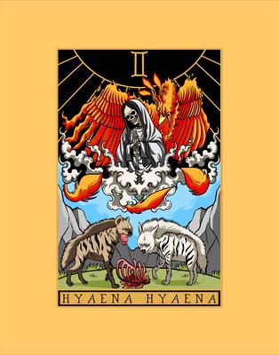 Hyaena Hyaena