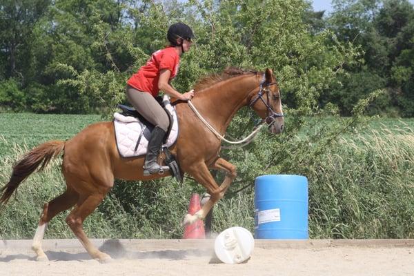 Demonstrating a deep mutually respectful bond between horse and human.
