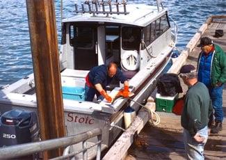 Glacier Bay Sportfishing