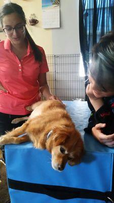 Dr Palmer is definitely worth telling friends about.my charlie would probably not be alive without her.