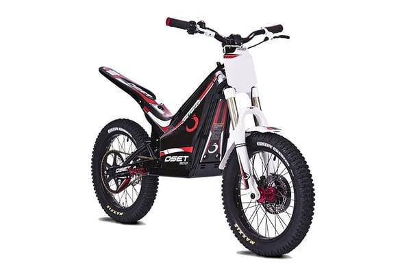 This is the 2015 20" wheel setup with a 48 volt electric motor