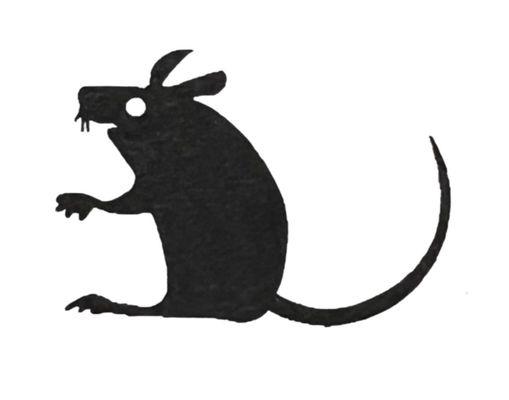 Richmond Pest Control