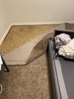 Silva’s Carpet Cleaning