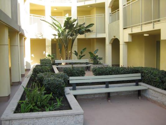 Courtyard - Paradise Arms