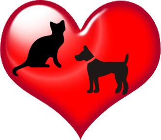 Miss Anna's Animal Care