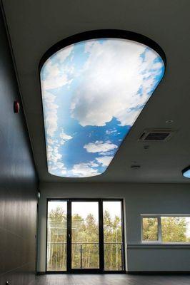 Sky light ceiling.