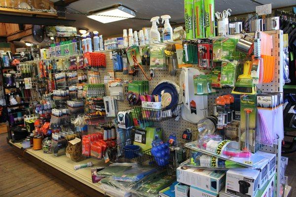 Assortment of accessories for camping, hiking, paddling and other outdoor activities