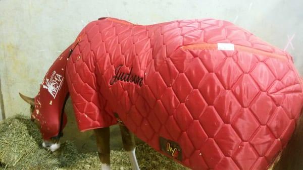 Great work done at Sue's!