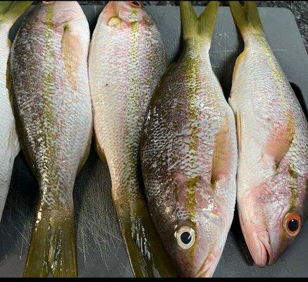 Yeah, they sell fresh fish!