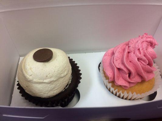 Some good looking cupcakes.