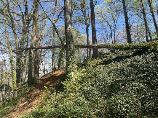 Shawn’S Landscaping