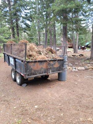 Truckee Yard Solutions