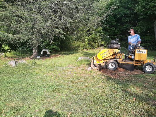 Smooth Cuts Stump Grinding